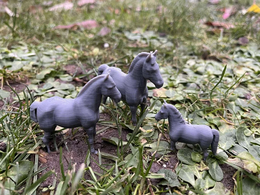 Gia đình ngựa trên nông trại - Image 4