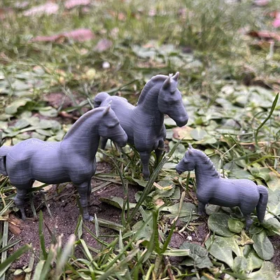 Gia đình ngựa trên nông trại