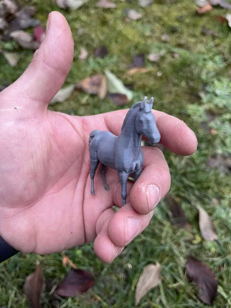 Gia đình ngựa trên nông trại - Image 5