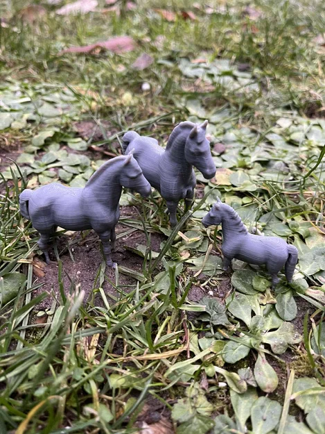 Gia đình ngựa trên nông trại - Image 6