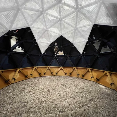 Nhà Mèo Geodesic Dome - Họa Tiết Cây Thông