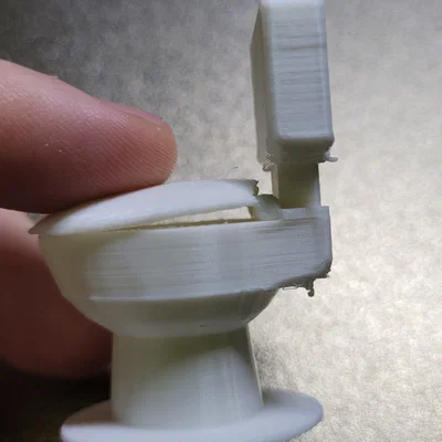 Klo'nchy / Toilet Kiểm tra máy in (Calibration Toilet)