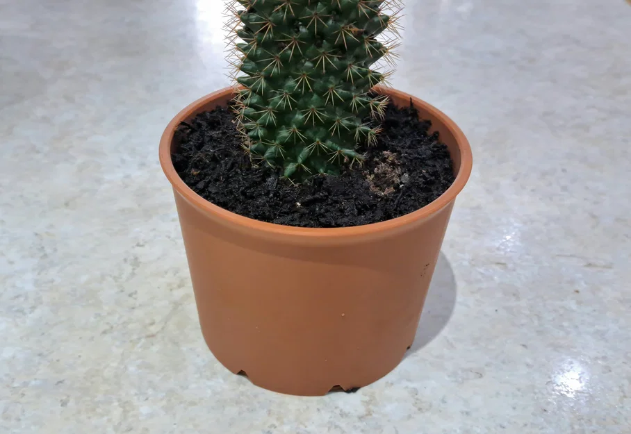 Chậu cây có ngăn bí mật - Image 5