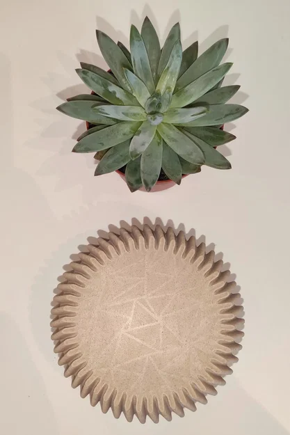 Chậu trồng sen đá 85mm - Image 4