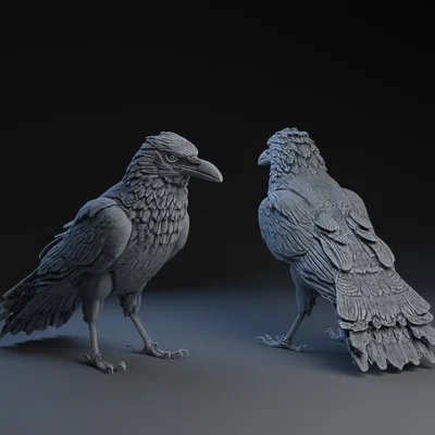 Mô hình con quạ (Preening Raven) 3D sống động - Decor độc đáo