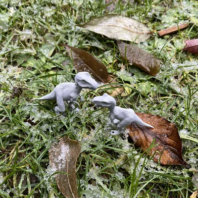 Mô hình Dinosaur Raptor