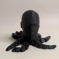 Mô hình Bạch tuộc Michael Jordan - Đồ chơi in 3D độc lạ - Thumbnail 2