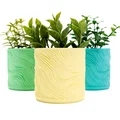 Chậu cây Organic Swirl Planter - Thumbnail 1