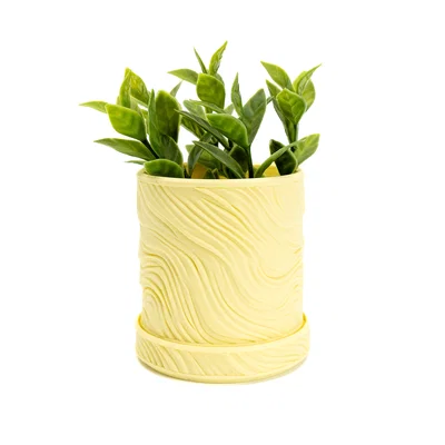 Chậu cây Organic Swirl Planter