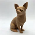 Mô hình chú chó Chihuahua lông ngắn đang ngồi - Thumbnail 1