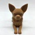 Mô hình tượng chú chó Chihuahua lông ngắn đang nằm - Thumbnail 2
