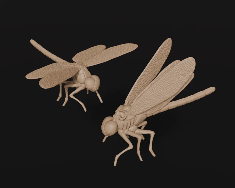 Winged Horrors – Chuồn chuồn thường & Chuồn chuồn đầu lâu - Image 1