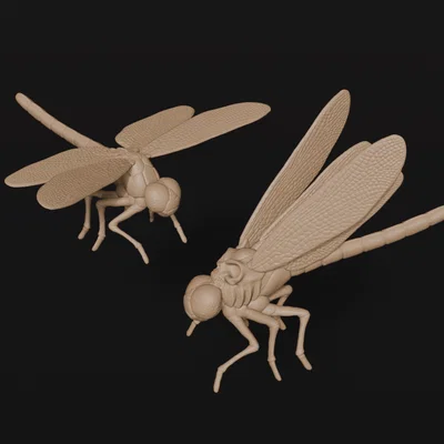 Winged Horrors – Chuồn chuồn thường & Chuồn chuồn đầu lâu
