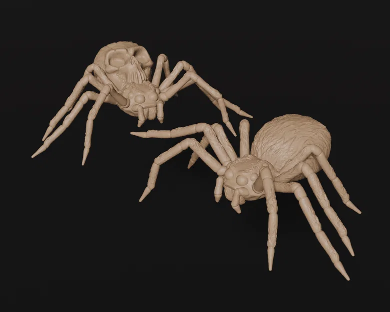 Arachnid Horrors – Bộ mô hình nhện và nhện đầu lâu - Image 1