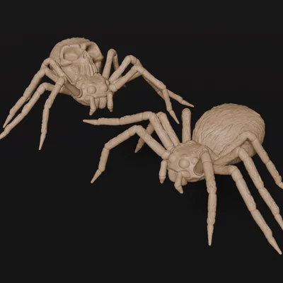 Arachnid Horrors – Bộ mô hình nhện và nhện đầu lâu