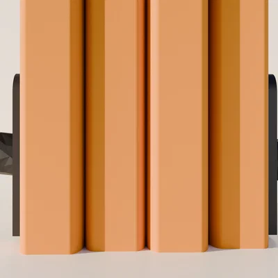 Chặn sách mèo Low Poly (Low Poly Cat Bookend) độc đáo cho kệ sách