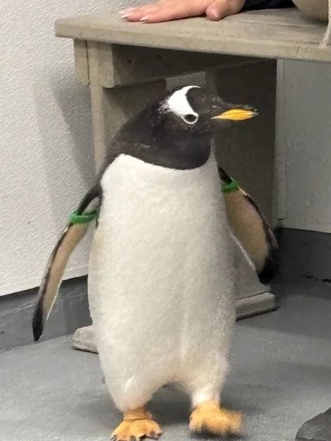 Mô hình cầu trượt 3D (Ramp) hỗ trợ trưng bày chuyên nghiệp - Image 1