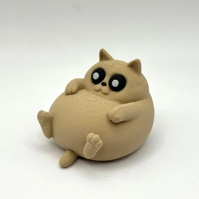 Chú Mèo Béo Ú Thư Giãn (Chill Chonky Cat)