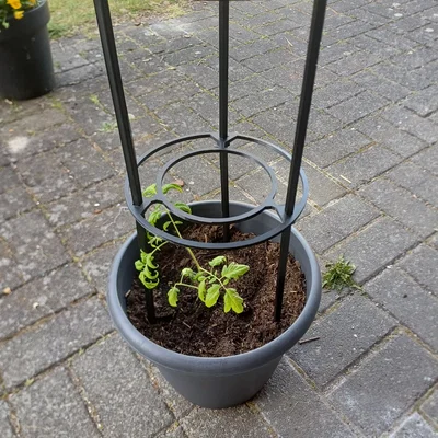 Giá đỡ cà chua xếp chồng (Stackable Tomato Rack)