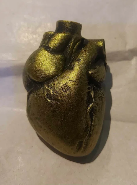 Mô hình trái tim giải phẫu (Anatomical heart) trang trí cây thông - Image 2
