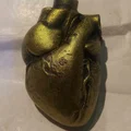 Mô hình trái tim giải phẫu (Anatomical heart) trang trí cây thông - Thumbnail 2