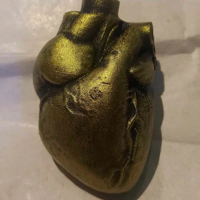 Mô hình trái tim giải phẫu (Anatomical heart) trang trí cây thông