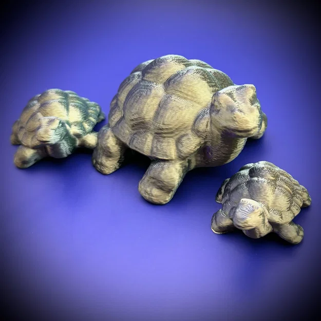 Mô hình chú rùa (tùy chỉnh kích thước) - Image 1