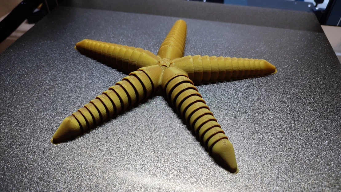 Ultra Articulated Starfish - Sao biển siêu cử động - Image 2