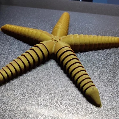 Ultra Articulated Starfish - Sao biển siêu cử động