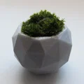 Chậu cây cảnh mini thiết kế đa diện Geodesic in 3D độc đáo - Thumbnail 1