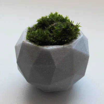 Chậu cây cảnh mini thiết kế đa diện Geodesic in 3D độc đáo