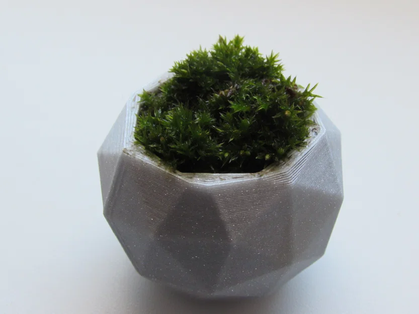 Chậu cây cảnh mini thiết kế đa diện Geodesic in 3D độc đáo - Image 2