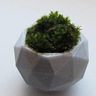 Chậu cây cảnh mini thiết kế đa diện Geodesic in 3D độc đáo
