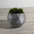 Chậu cây cảnh mini thiết kế đa diện Geodesic in 3D độc đáo - Thumbnail 3