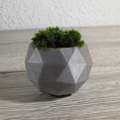 Chậu cây cảnh mini thiết kế đa diện Geodesic in 3D độc đáo