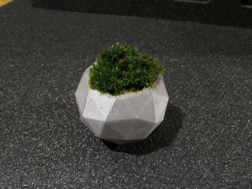 Chậu cây cảnh mini thiết kế đa diện Geodesic in 3D độc đáo - Image 4