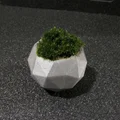 Chậu cây cảnh mini thiết kế đa diện Geodesic in 3D độc đáo - Thumbnail 4