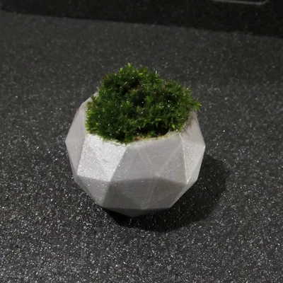 Chậu cây cảnh mini thiết kế đa diện Geodesic in 3D độc đáo