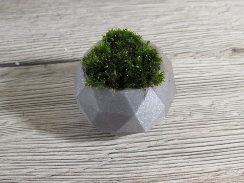 Chậu cây cảnh mini thiết kế đa diện Geodesic in 3D độc đáo - Image 5