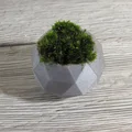 Chậu cây cảnh mini thiết kế đa diện Geodesic in 3D độc đáo - Thumbnail 5