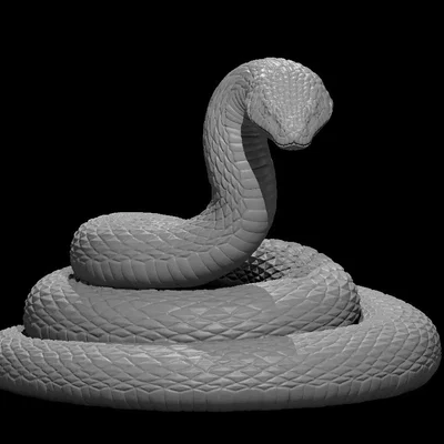 Mô hình Titanoboa từ Kobold Press Tome of Beasts