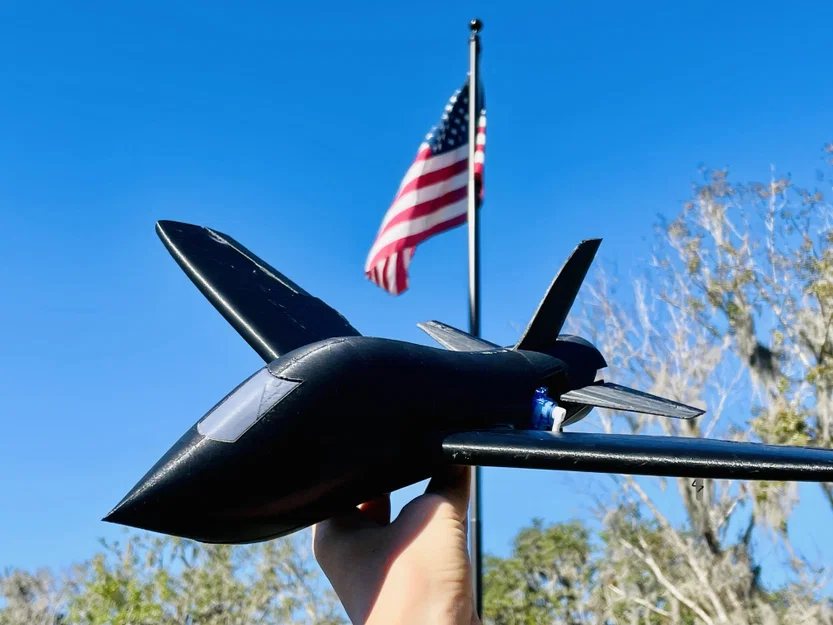 Mô hình máy bay Black Falcon 50mm EDF RC tích hợp FPV (có càng đáp) - Image 1