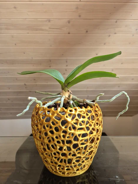 Chậu hoa lan họa tiết Voronoi (Orchid Voronoi Pot) - Image 1