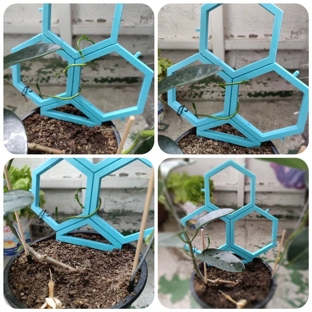 Hệ thống giàn leo mô-đun cho cây trồng - Image 1