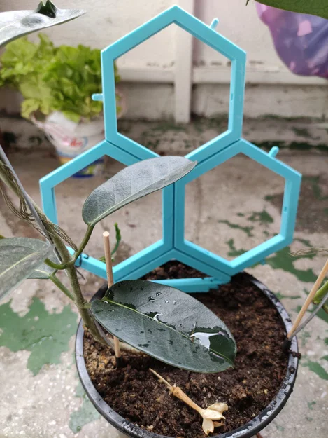 Hệ thống giàn leo mô-đun cho cây trồng - Image 2