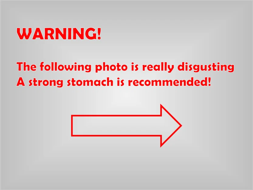 Dụng cụ thông cống DELUXE | Đầu vệ sinh thay thế được - Image 5