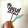 Phụ kiện cắm bánh Cupcake Class of 2025 cho tiệc tốt nghiệp - Thumbnail 2