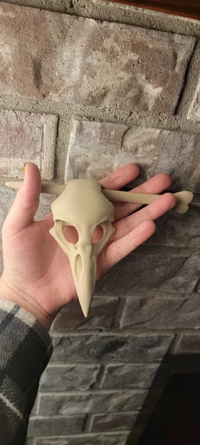 Trâm cài tóc hình đầu lâu quạ - Image 1