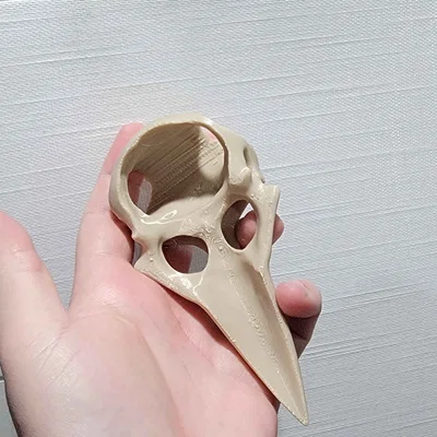 Trâm cài tóc hình đầu lâu quạ
