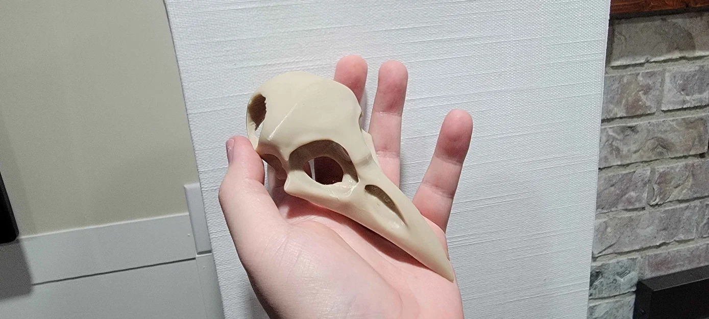 Trâm cài tóc hình đầu lâu quạ - Image 3